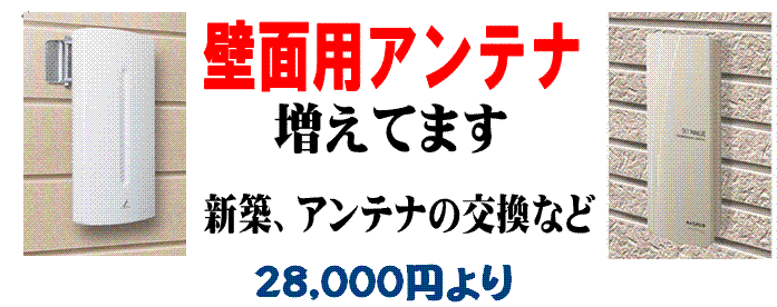 �ǖʗp�A���ʃA���e�i