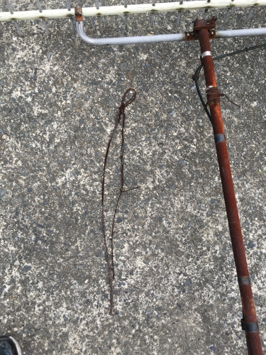 �Â��K�т��A���e�i�ƃ}�X�g�ʐ^