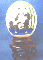 �����H�|�p���_�G�i�_�`���E�̗��j